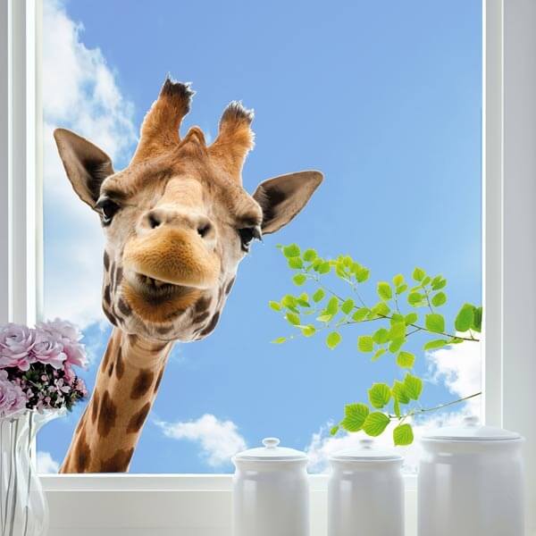 Nálepka na okno Žirafa 68202