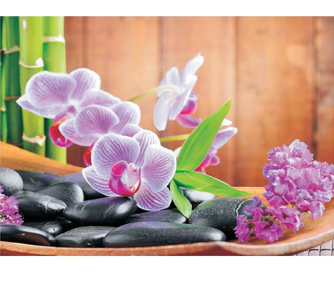 Luxusná fototapeta 115 p Orchidea