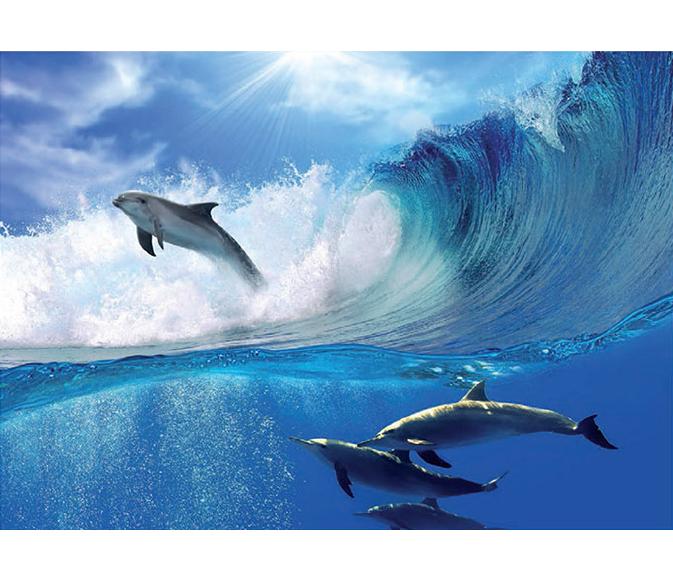 Luxusná fototapeta 188 p Delfíny