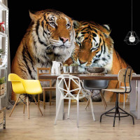 Luxusn fototapeta 10173 Tigre