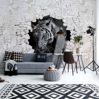 Luxusn fototapeta 10400 Tiger in Brick Wall