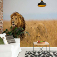 Luxusn fototapeta 11750 Lion