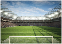 Luxusn fototapeta 11798 Futbalov tadin