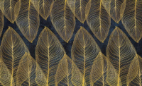 Luxusn fototapeta 13678 Gold Leaves II