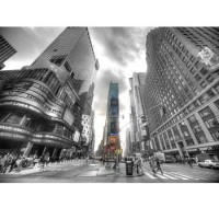 Fototapeta 0698 Times Square Silver NY