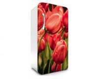 Samolepiaca fototapeta na chladniku FR-012 Tulipny