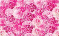 Luxusná fototapeta 3189 Pink Flowers