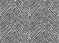 Vliesov tapeta na stenu 37120-1 Zebra
