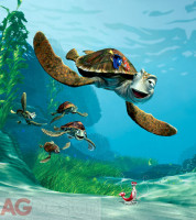 Fototapeta 5110 Hľadá sa Nemo korytnačky