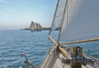 Fototapeta 8-526 Sailing