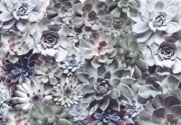 Fototapeta 8-962 3D Shades