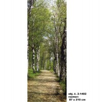 Fototapeta 2-1717 a p brezov alej