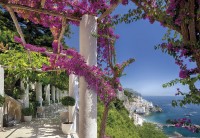 Fototapeta 8-931 Amalfi