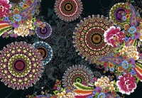 Fototapeta 8-939 Mandala Corro