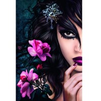 Fototapeta 637 Midnight Rose