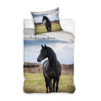 Posten oblieky ierny k II