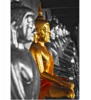 Fototapeta 904 Zlatý Budha