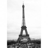 Fototapeta 0242 Eiffel Tower