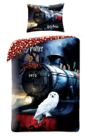 Posten oblieky Harry Potter Express s Hedvigou II