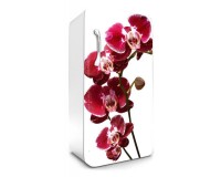 Samolepiaca fototapeta na chladniku FR-014 Orchidea