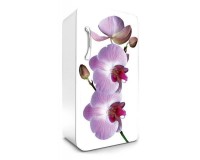 Samolepiaca fototapeta na chladniku FR-024 Fialov orchidea