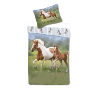 Posten oblieky Horses