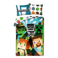 Posten oblieky Minecraft Alex a Steve