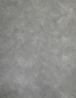 Obkladov panel CLICK se zmkem 119x30cm ASTERIA 6305 2,9036m2 - 8ks