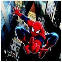 Dekoratívny obraz PDD-3001 Spiderman